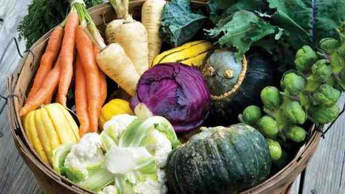 подзимний посев овощных