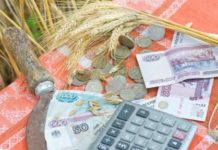 Аграрии смогут получить кредиты на 2,2 млрд. рублей под 5% с помощью краевого бюджета