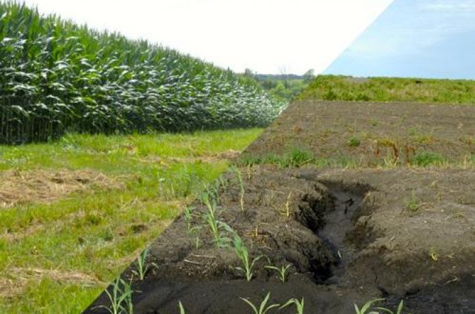 Нулевая обработка почв может быть решением для сельского хозяйства на Среднем Западе