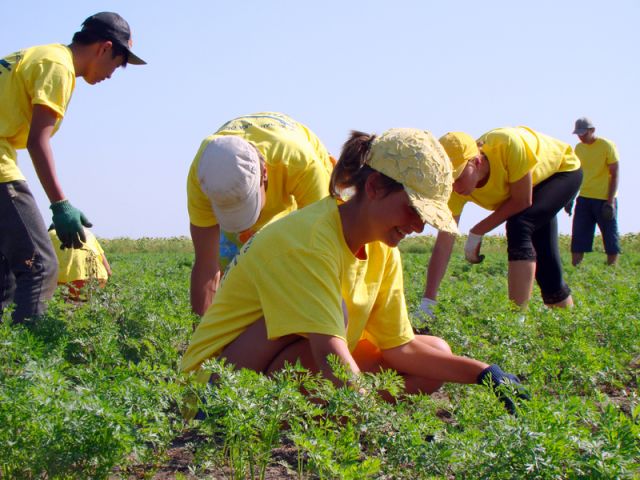 Каникулы на грядках: в Беларуси дети изучают органическое сельское хозяйство