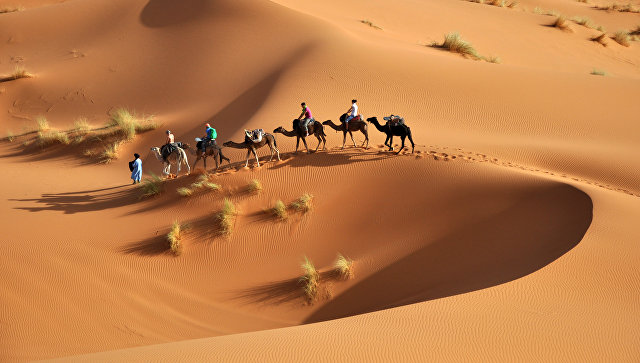 Ученые заявили, что Сахара может полностью "позеленеть" через столетие