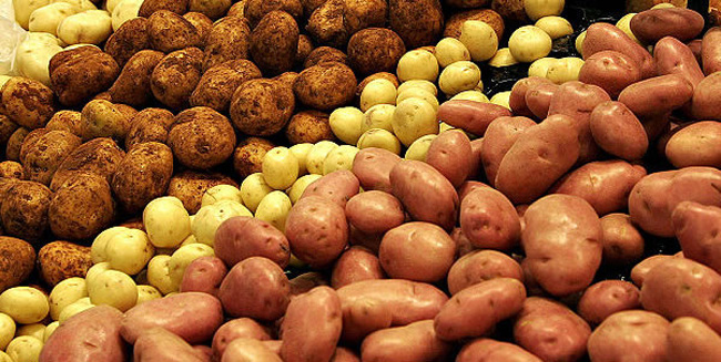 сорта картофеля
