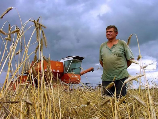 Власти Марий Эл планируют объединить мелких фермеров для развития сельского хозяйства