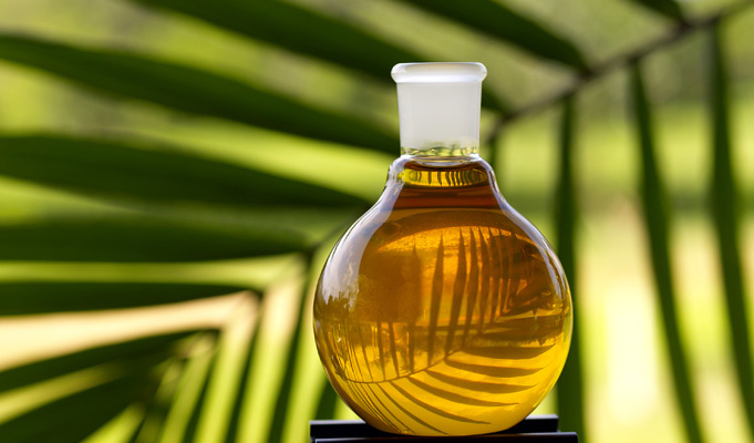 Россельхознадзор предлагает взять под контроль пальмовое масло