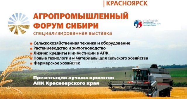 Итоги уходящего сельхозгода подвели на Агропромышленном форуме Сибири