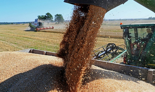 Россия договорилась с Китаем по фитосанитарным нормам пшеницы и овса
