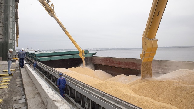 За прошедшую неделю порты Ростовской области экспортировали 235 тыс. тонн зерна