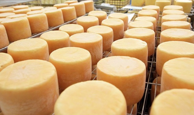 Брянская область в 2017 г. увеличила выпуск сыров на 14,2%