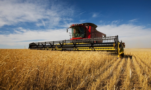 Россия в 2018 году сохранит мировое лидерство по экспорту зерна