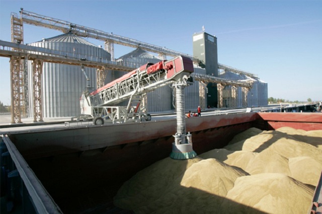 Вырос экспорт зерна