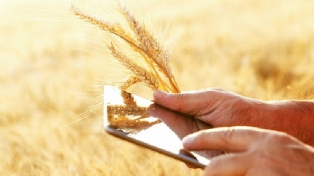 Аграрные смарт-планшеты предложили использовать учёные казахским фермерам