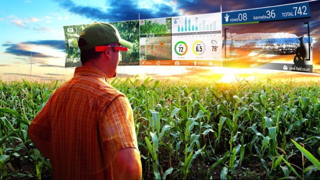 Лидеры сельского хозяйства обсудили планы по «цифровизации» отрасли