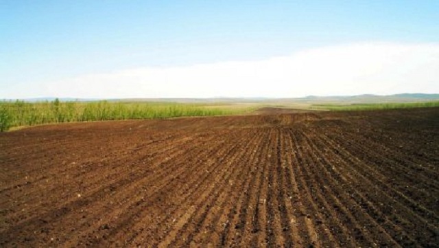 Минсельхоз РФ подготовил 3 законопроекта для введения в сельхозоборот неиспользованных земель