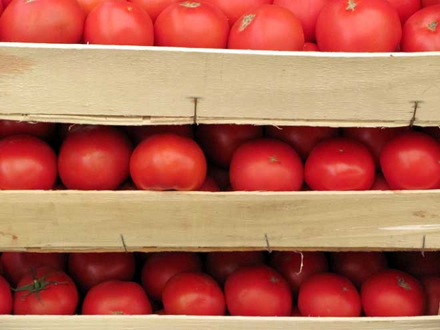 Россельхознадзор подозревает Армению в реэкспорте турецких помидоров