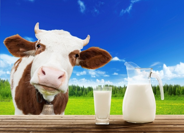 Белорусским молоком может заняться единая компания-трейдер