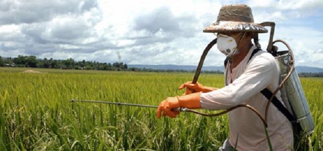 Действенность пестицидов снижается. Ученые США просят у правительства финансовой поддержки.