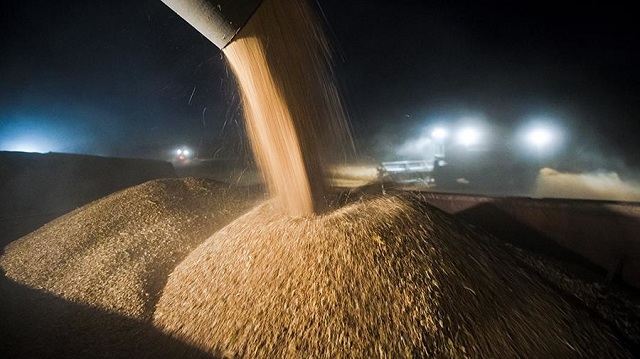 Экспорт российских зерновых с начала сельхозсезона превысил 45 млн тонн по данным на 9 мая