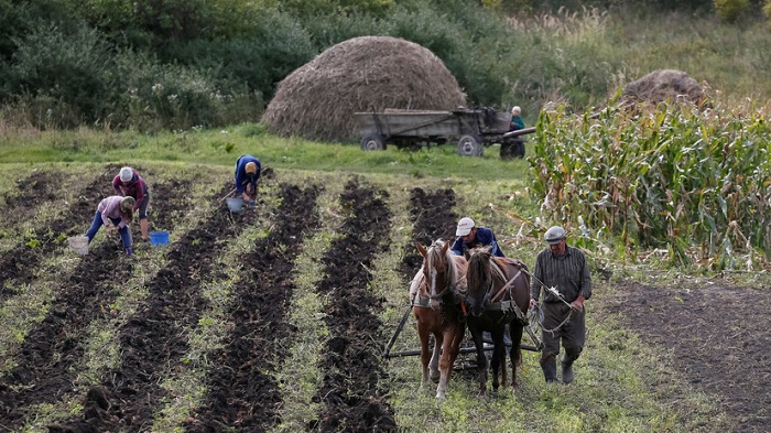 Миллионы людей будут никому не нужны»: к чему может привести отмена моратория на продажу земли на Украине