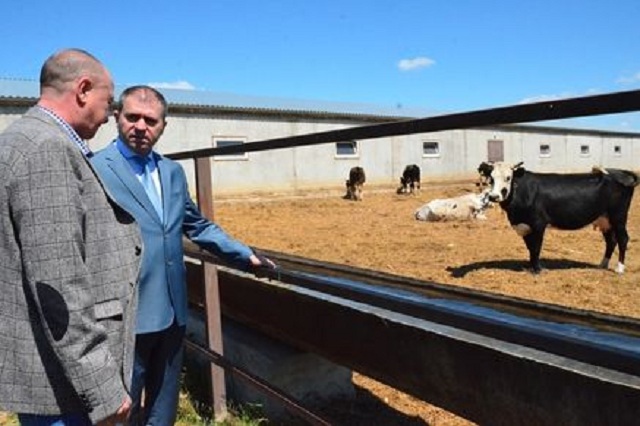 Новые семейные фермы открылись в Ростовской области