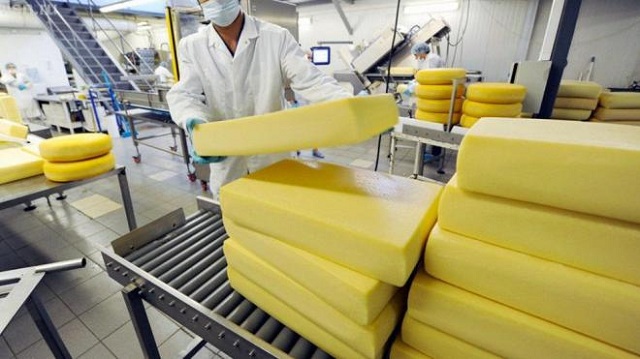 Самый крупный сырный завод в стране построят под Новосибирском