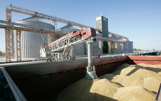Ставропольский край заинтересован в расширении зернового экспорта в Индию