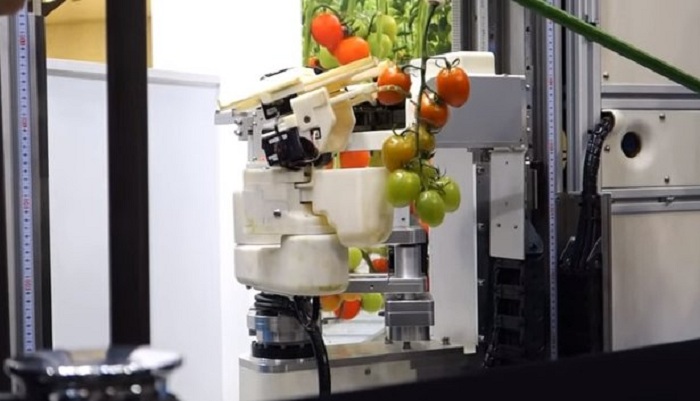 В Японии убирать томаты будут роботы