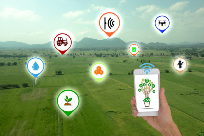 Фермерство будущего автоматизация и IoT