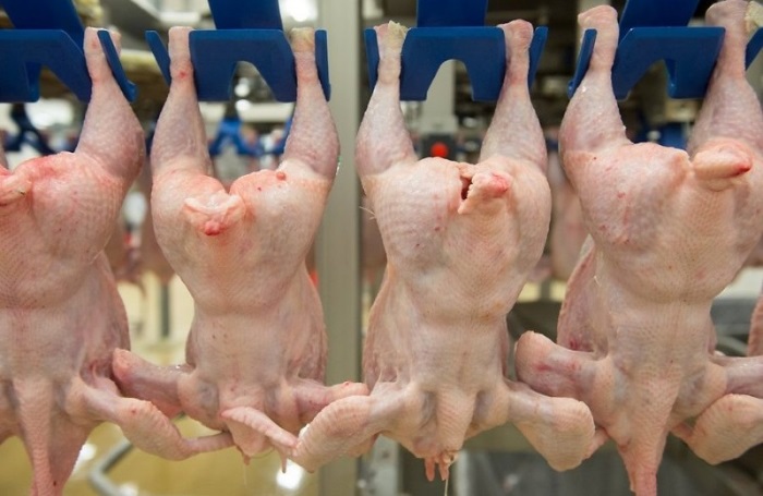 Казахстан временно ограничил ввоз курицы с пяти российских предприятий