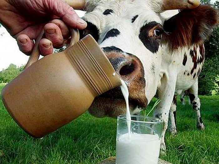 Ограничение ввоза белорусского молока не изменит потребительских цен