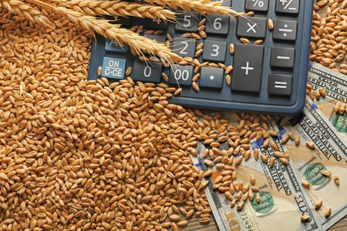 Правительство сохранило нулевую ставку вывозной пошлины на пшеницу