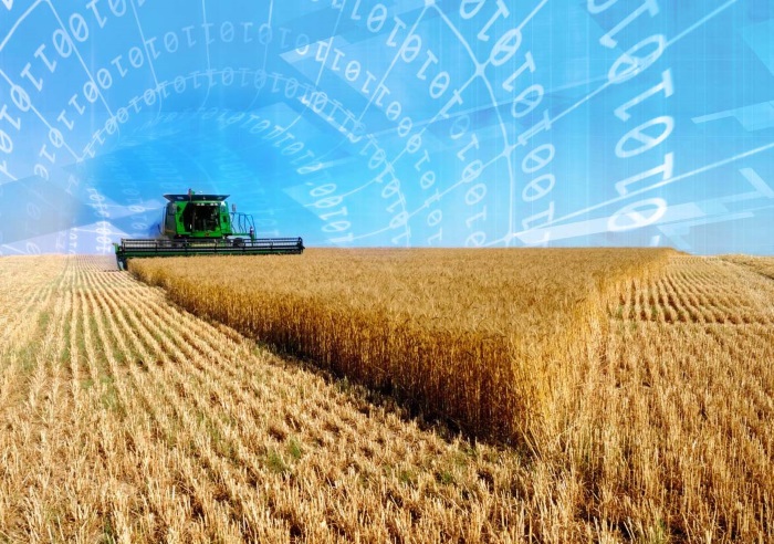 Видимость цифровизации в сельском хозяйстве