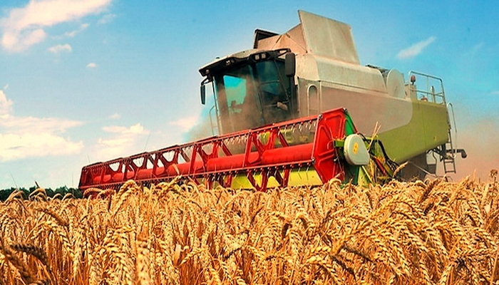 Беларусь предложила китайцам пять аграрных проектов