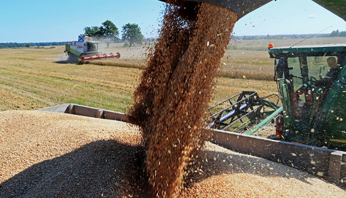 Бразилия впервые за восемь лет закупила пшеницу в России
