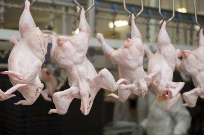 ЕС запретил ввоз мяса птицы со всех российских предприятий