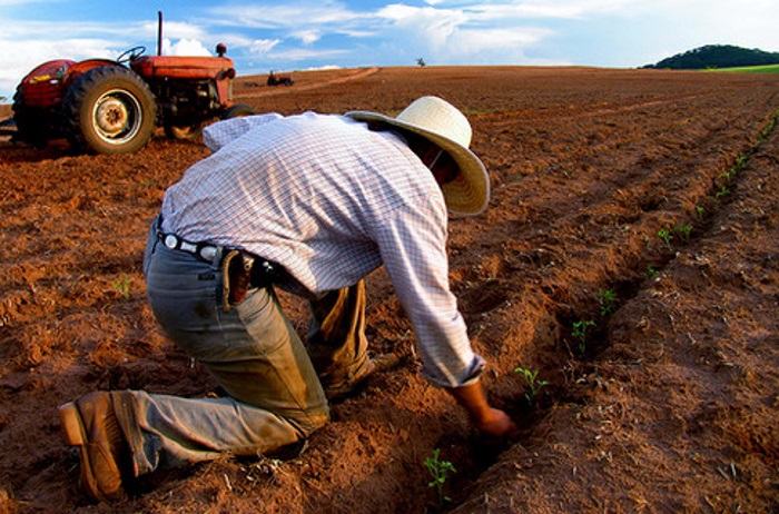 Фермеры Западной Австралии намерены перенять опыт производства зерна в Краснодарском крае