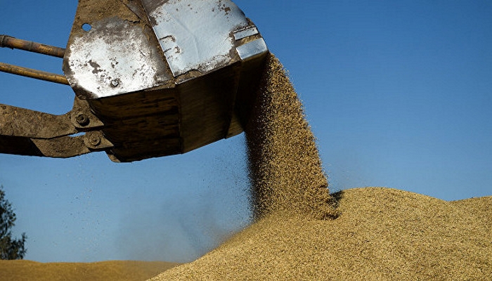 Экспорт российского зерна превысил прогноз Минсельхоза, заявили эксперты