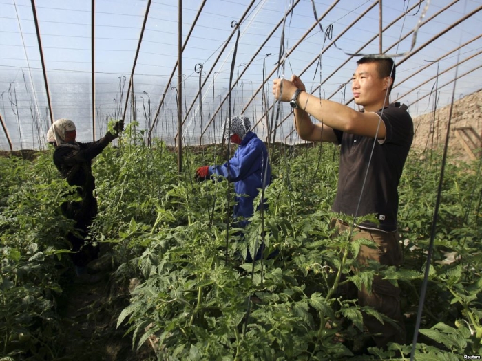 Китайские фермеры арендовали кусок Таджикистана размером с Лихтенштейн