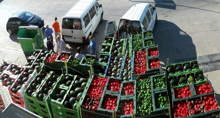 Молдавия будет добиваться полной отмены лимитов на экспорт в РФ агропродукции