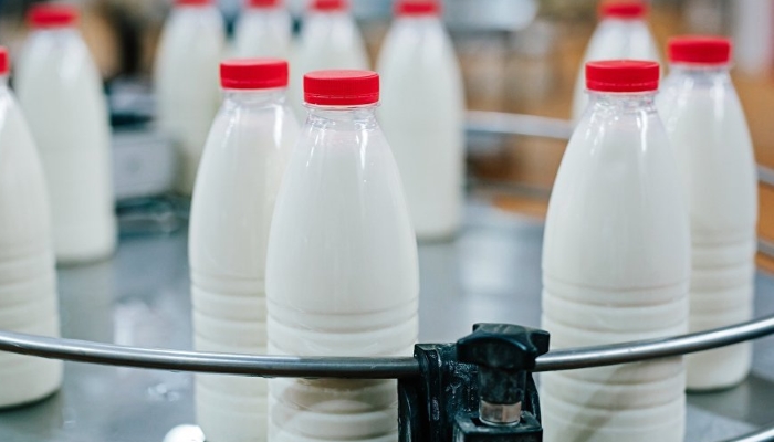 Молочный рынок России нуждается в регулировании и защите от фальсификата - Гордеев