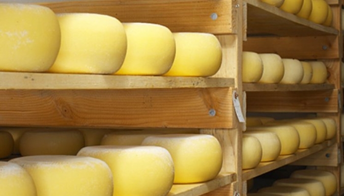 «Рассказовское молоко» открыло новую линию по производству сыра