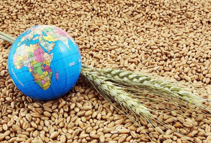 США спрогнозировали снижение мировых запасов зерновых на опасениях торговой войны