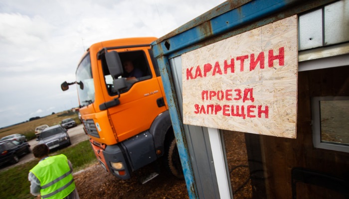 В двух районах Калининградской области выявили новые очаги АЧС