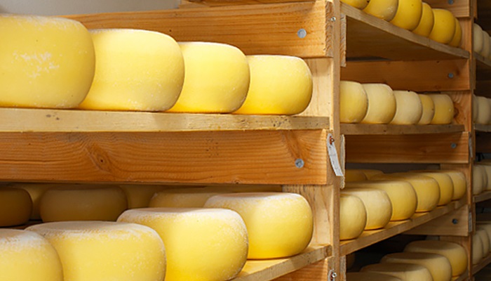 "Залесское молоко" вложит 2,2 млрд руб. в завод по выпуску сыра в Калининградской области