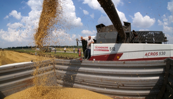 Аграрии Волгоградской области из-за непогоды ожидают снижения урожая зерна в 1,6 раза