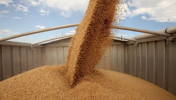 Цены на пшеницу закипают от жары