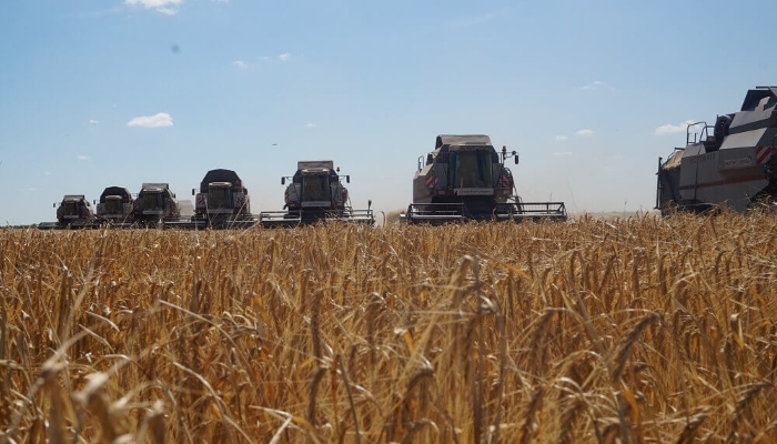 Экспортные цены на пшеницу обновили максимум с конца 2014 года