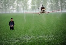 Китайские фермеры будут использовать дроны для опрыскивания посевов
