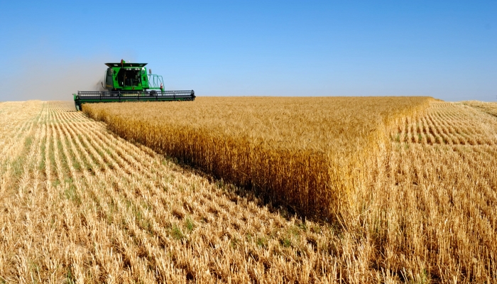 Минсельхоз не увидел предпосылок для введения пошлин на экспорт пшеницы