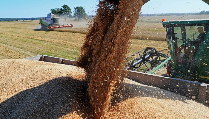 Минсельхоз сохраняет прогноз по урожаю зерна, несмотря на погоду