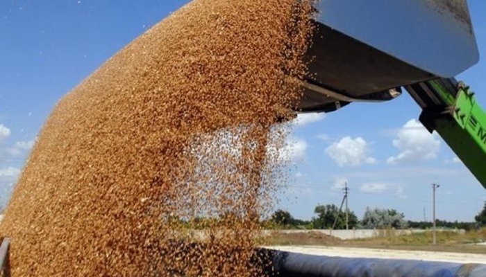 ОЗК в этом сельхозгоду планирует увеличить экспорт зерна до 2 млн тонн